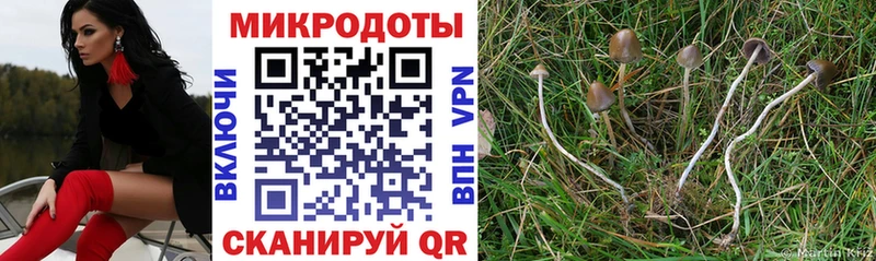 Галлюциногенные грибы Magic Shrooms  Краснокаменск 